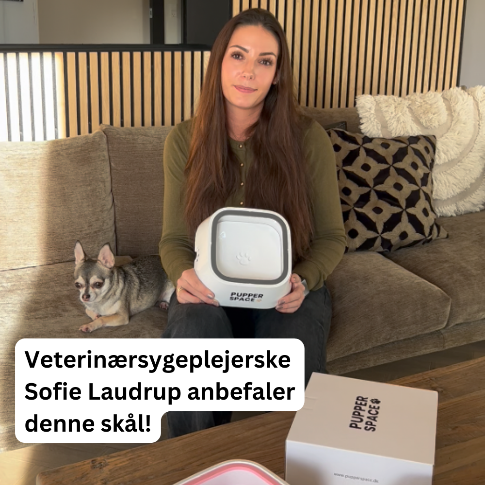 Pupperspace™ Spildfri Vandskål