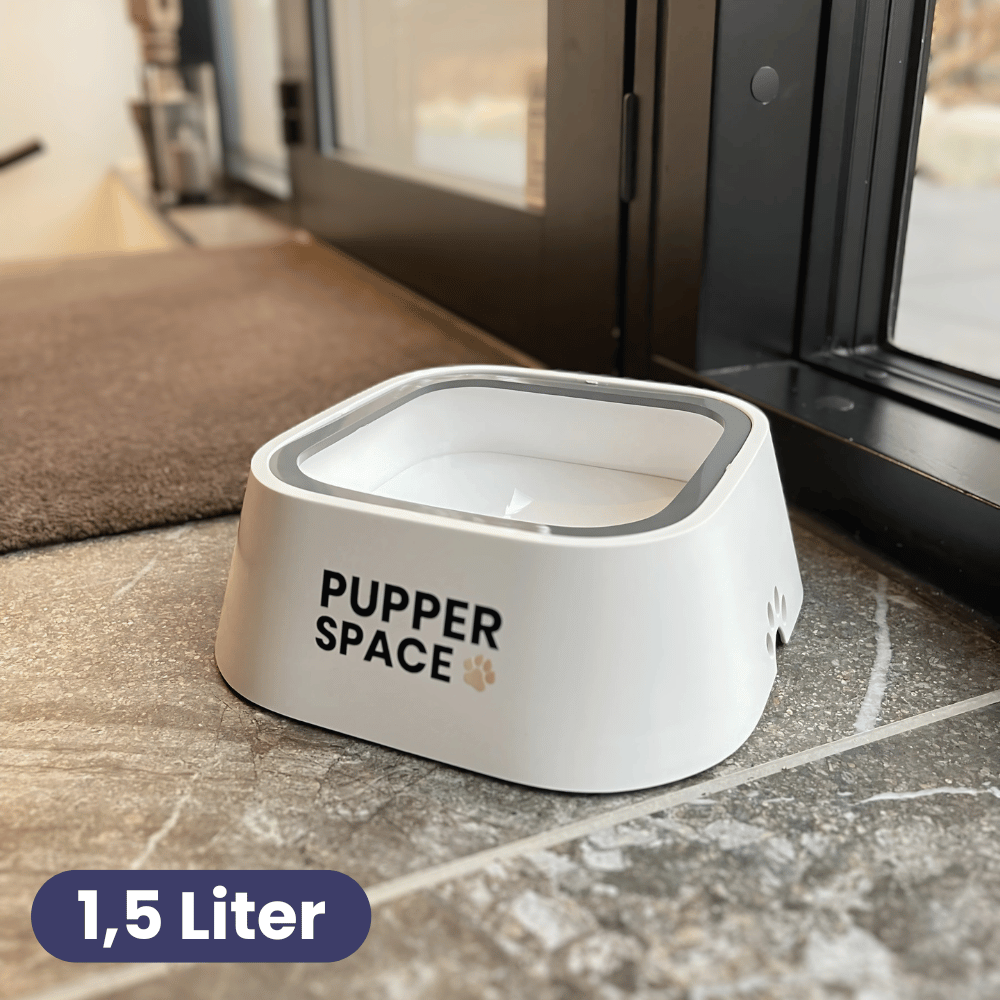Pupperspace™ Spildfri Vandskål